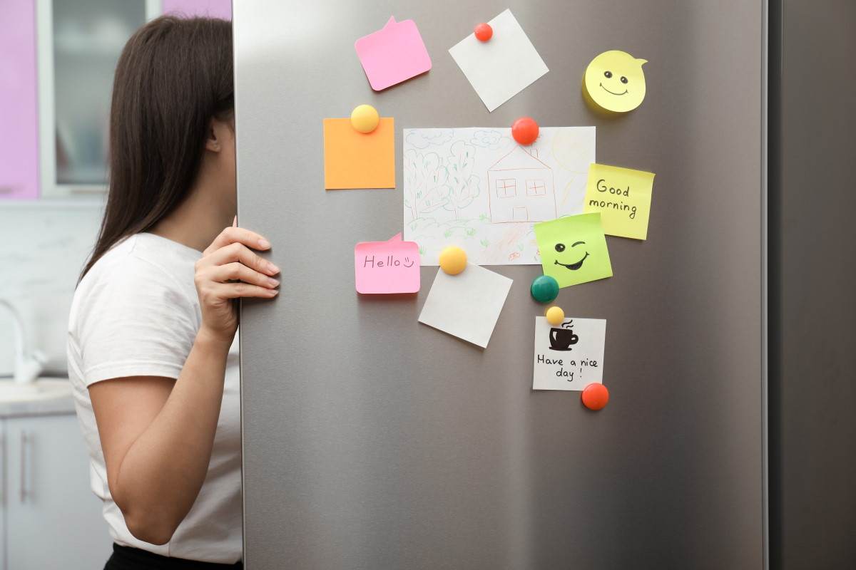 Le calamite danneggiano il frigorifero?